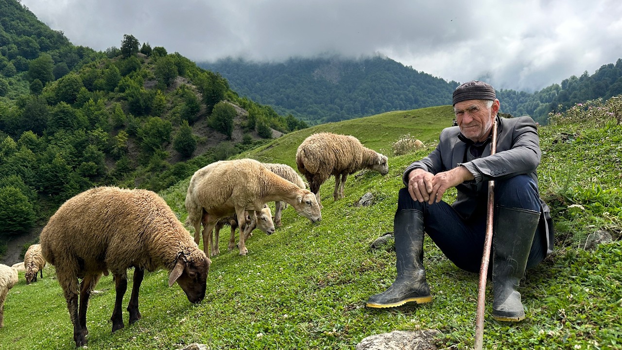 Shepherding in the Marvelous Mountains! Life in Harmony with the Nature of an Elderly Couple