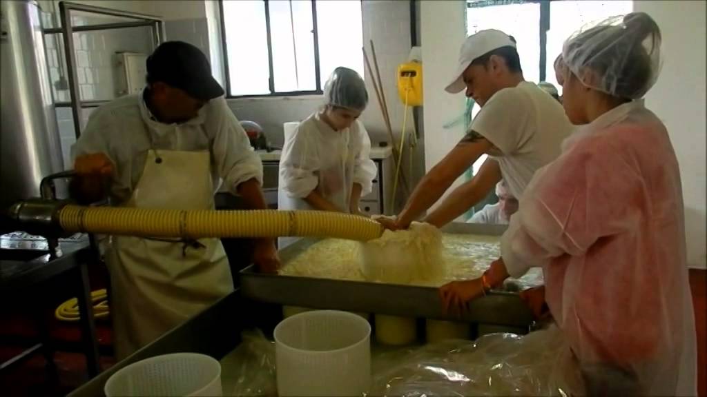 Lavorazione Caciotte
