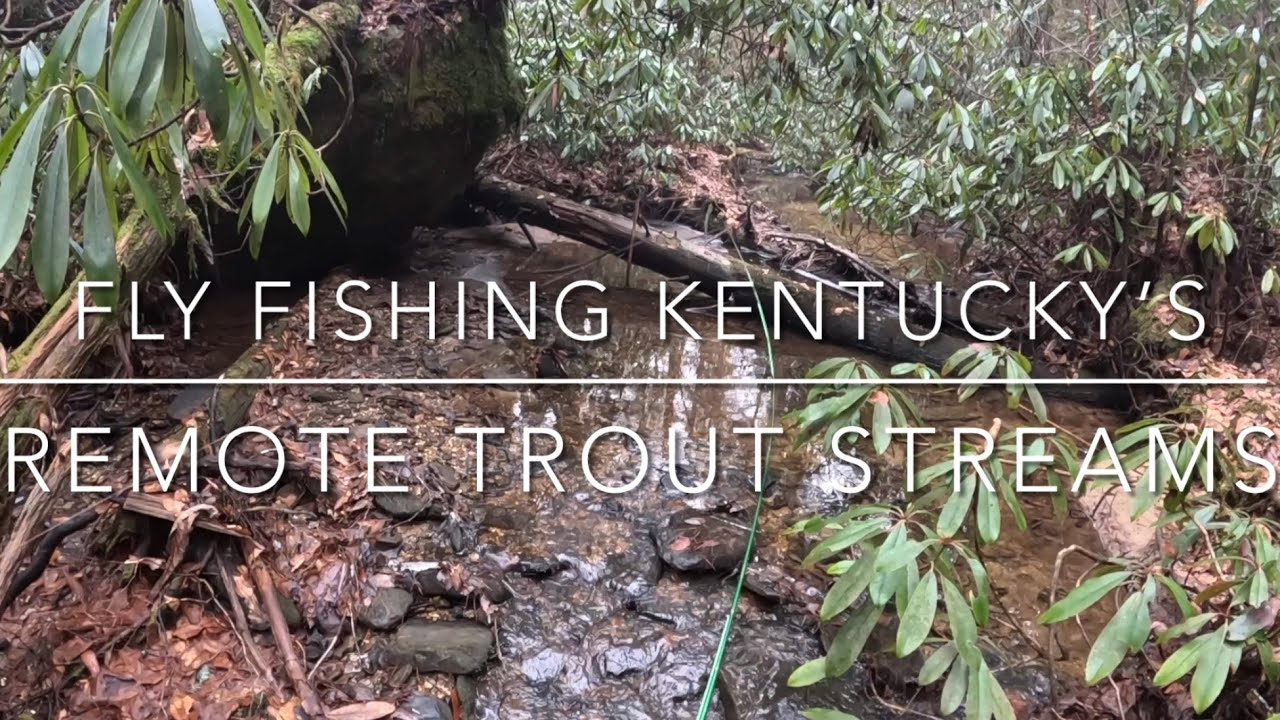 Fly Fishing Kentucky's Red River Gorge — Small Stream Trout Fishing