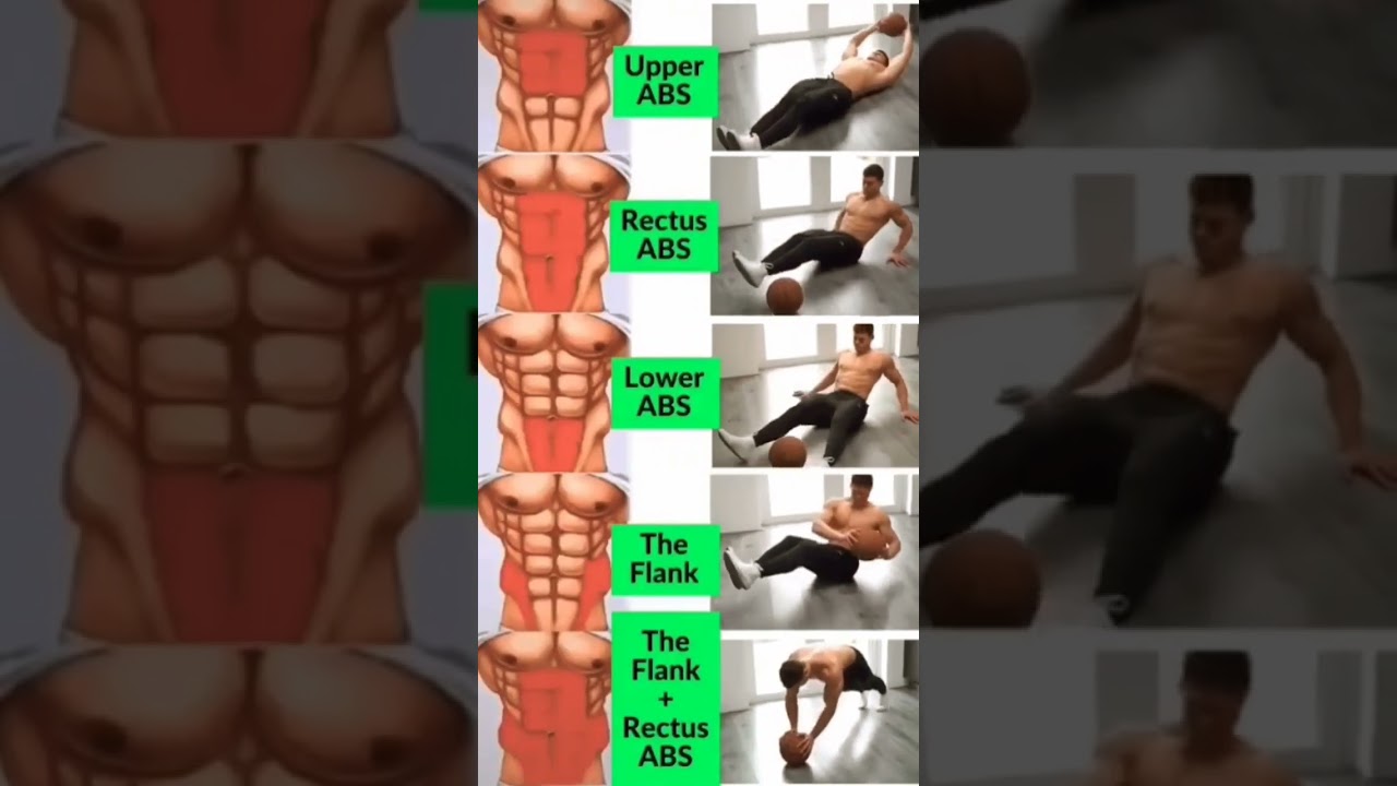 abs workout with cricket  basketball 🏀