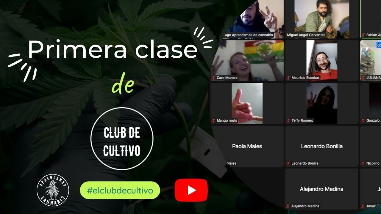 Esta es la primera clase del taller 
