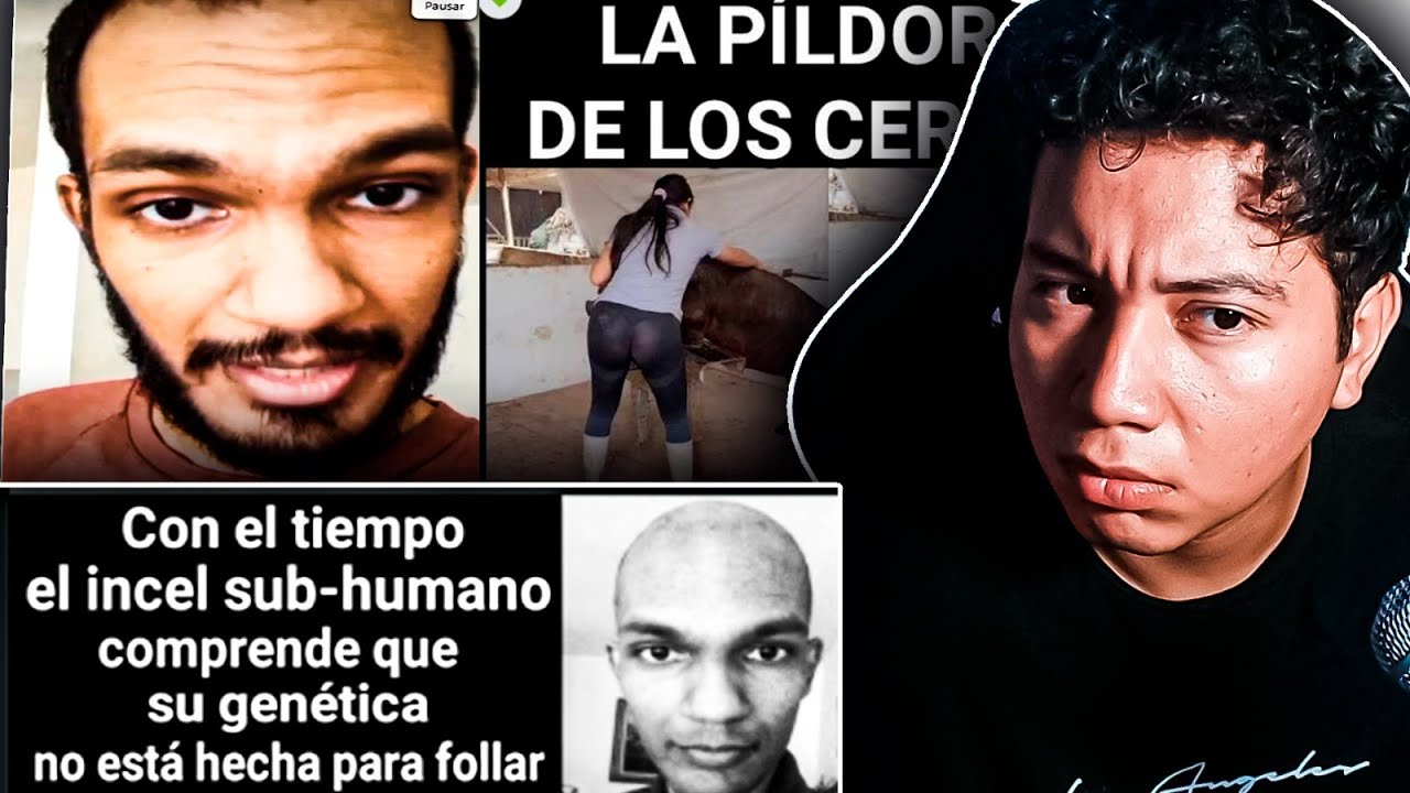 Rinc&oacute;n del Cringe: Incels usando internet 👀