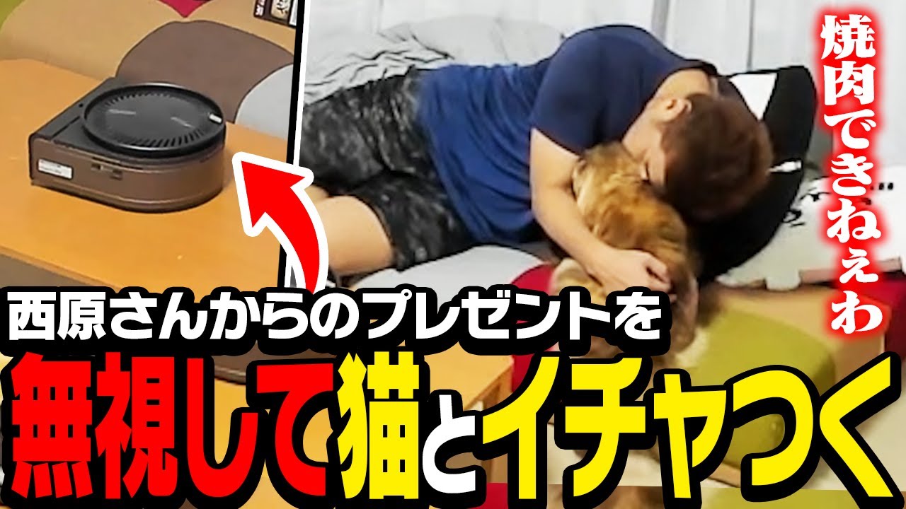ZETA代表からのプレゼントを使おうとしていたら、ココちゃんがやって来た