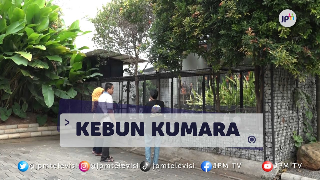 Pelihara Ayam Di Lingkungan Rumah Tanpa Berbau