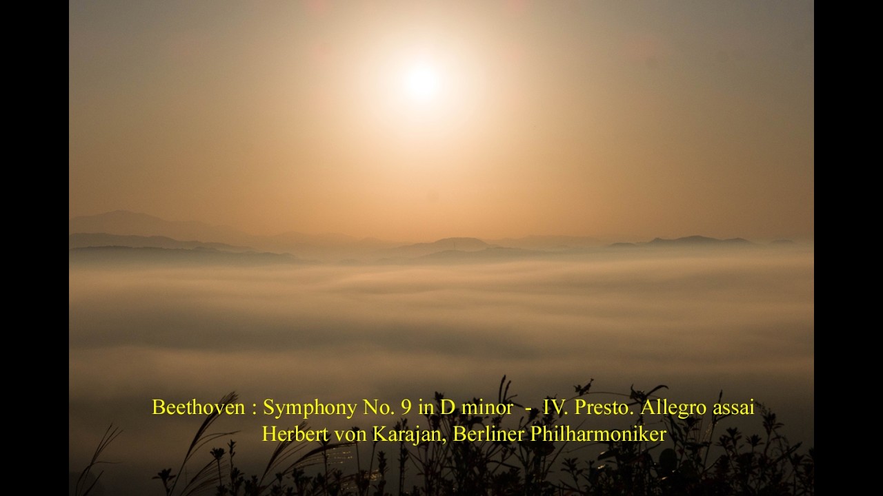 Beethoven : Symphony No. 9 in D minor - IV. Presto - Allegro assai