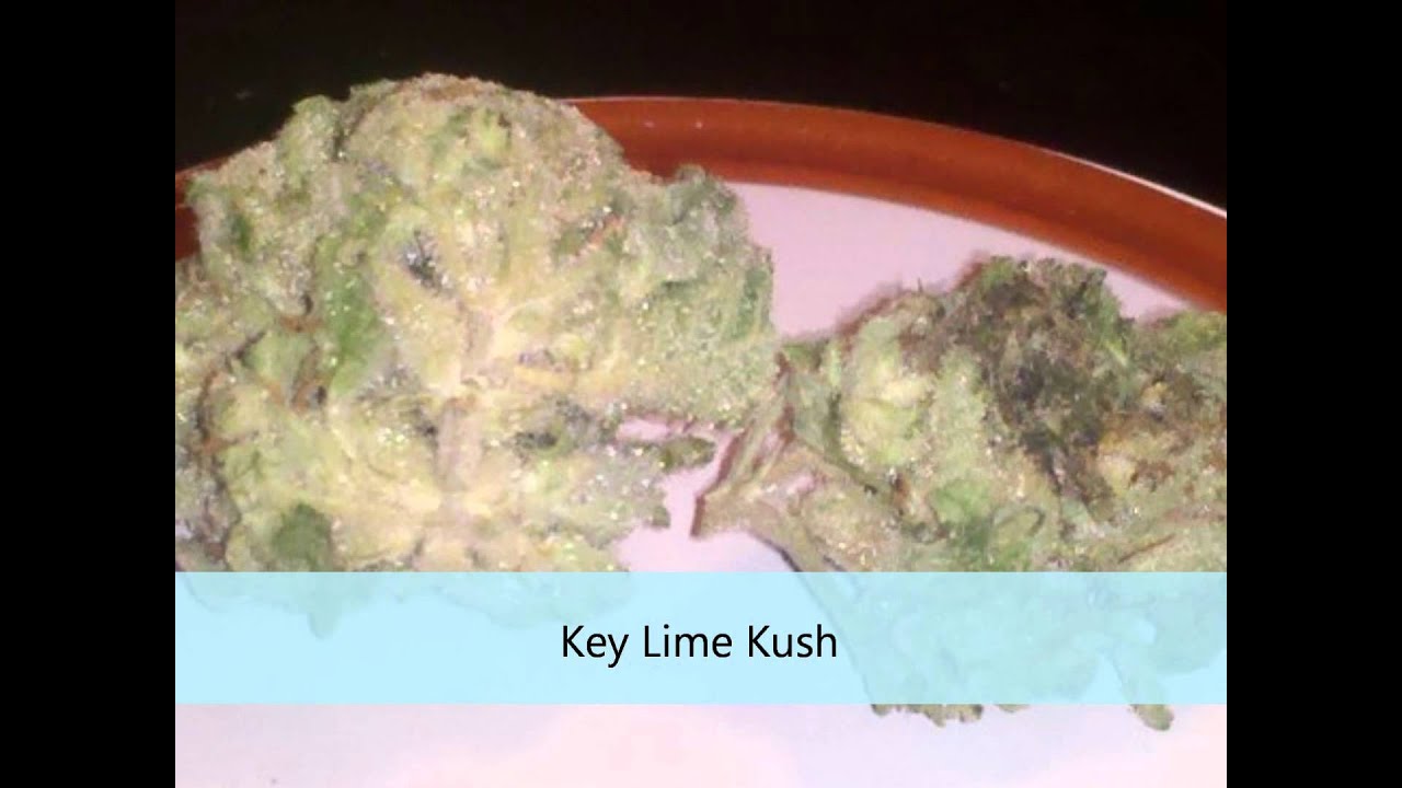 Best Medical Marijuana Strains for Anxiety