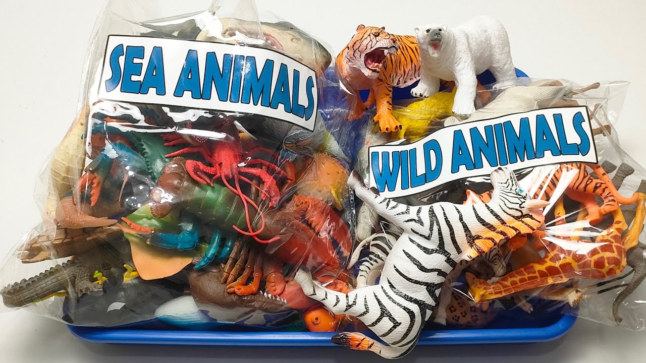 ASMR Animal Toys | Satisfying Sea Animal & Wild Animal Figures Tapping and Review | No Talking