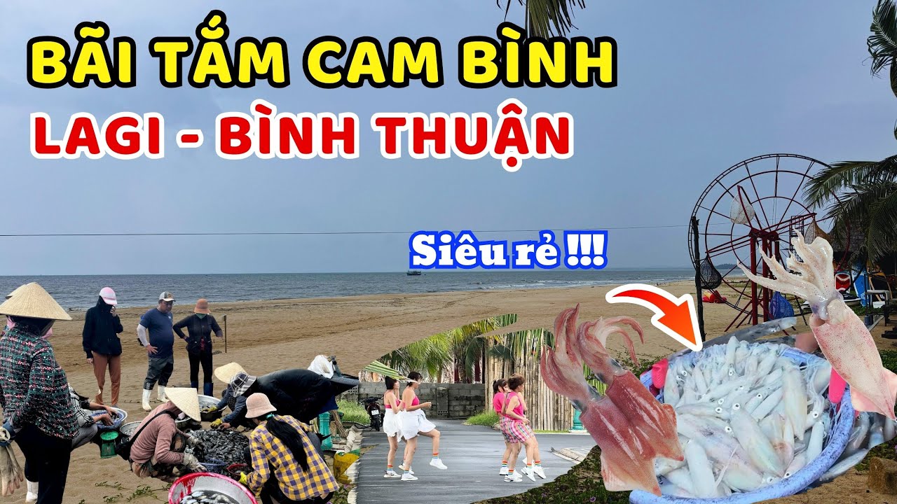 Mùa mực giá rẻ chỉ 150K tại bãi tắm Cam Bình Lagi :  Đi ngay kẻo lỡ! ❤️  🏝