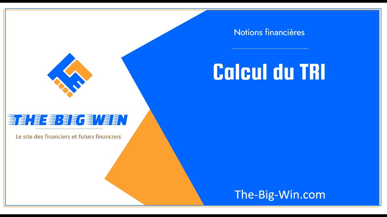 Calcul TRI : définition, exemples concrets et explication pour tout comprendre