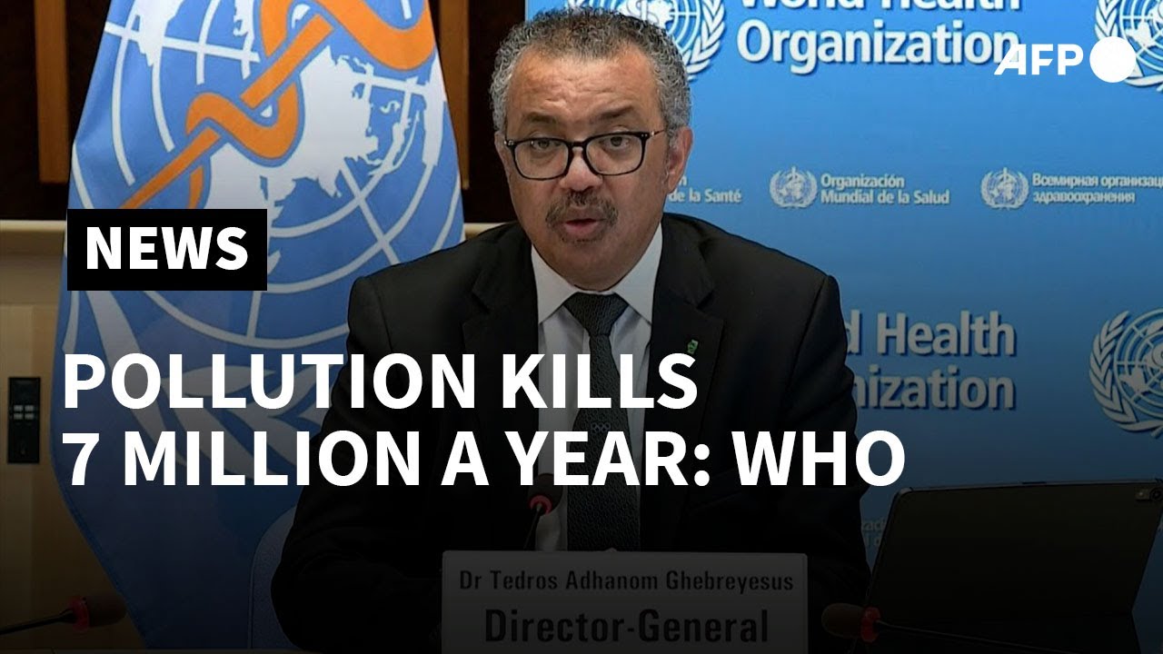 WHO says air pollution kills 7 million a year | AFP