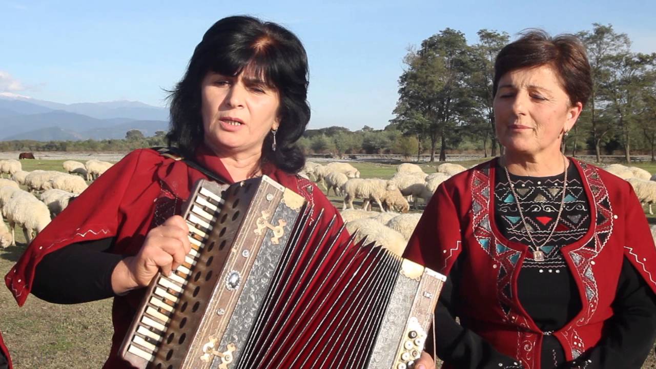 მიგვიდის ცხვარიდ ბატკანი, ანსამბლი 