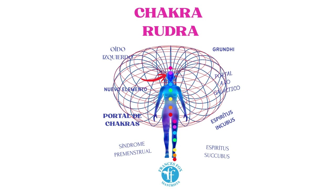 MAPAS A TU DESTINO: TUS CHAKRAS 1