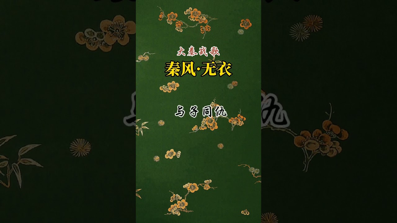 大秦战歌，气势恢宏！《秦风 无衣》