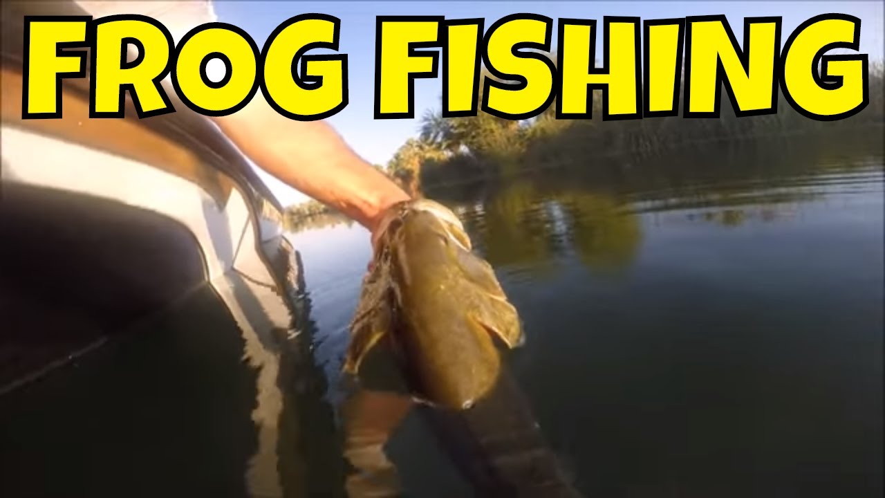 110 DEGREES Frog Fishing Sunbeam Lake || El Centro,CA