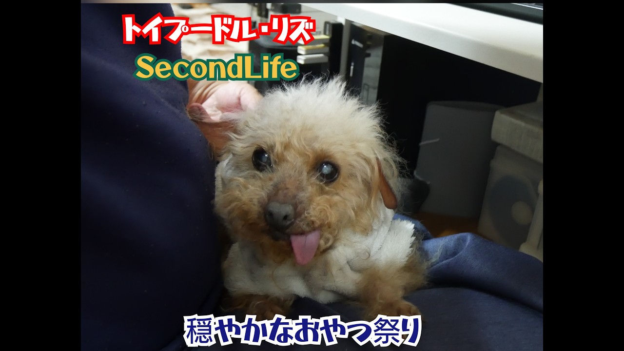2026 03 01 お友達との時間