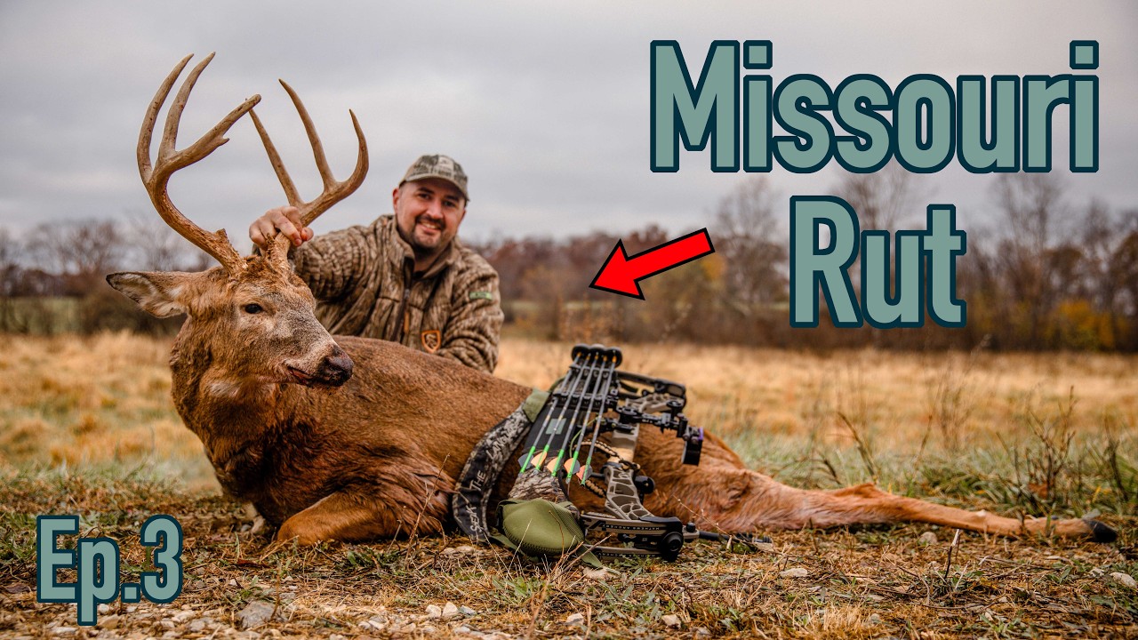 Bow Hunting the MISSOURI RUT - 5 Yard Shot on a Cruising Buck