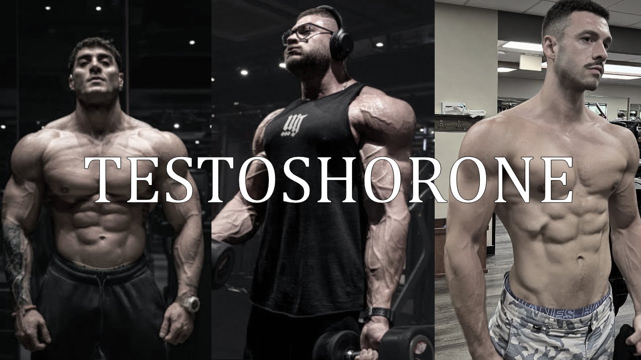 Turkish Fitness World Motivation