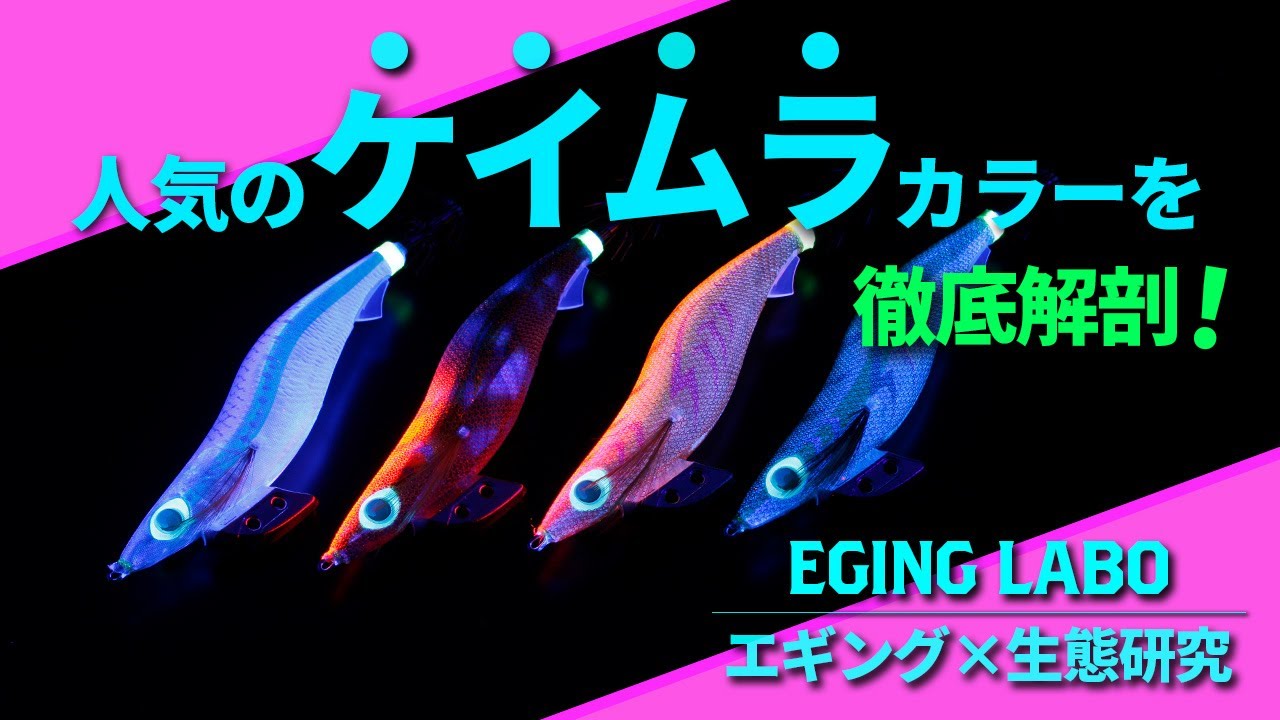 【エギングラボ】VOL.1 大人気のケイムラカラーを徹底解剖！