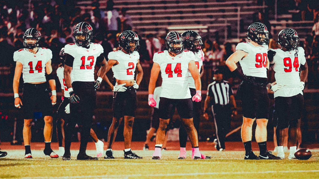 Flog numba 4️⃣1️⃣
