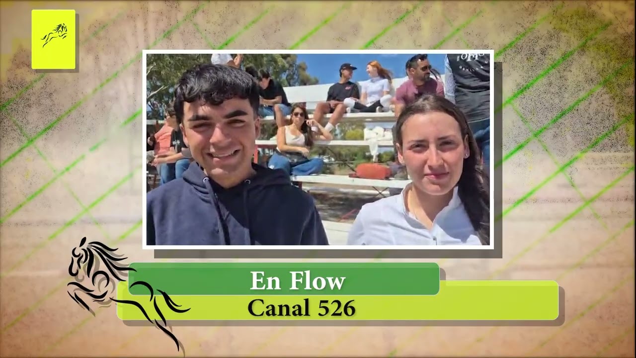 Equitación Sur programa 371 bloque 1