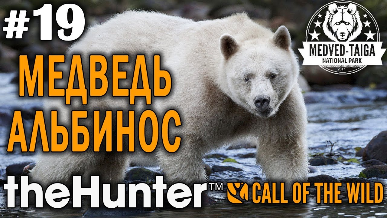 theHunter call of the wild #19 🔫 - Легендарный Медведь Альбинос - Финал Сюжета