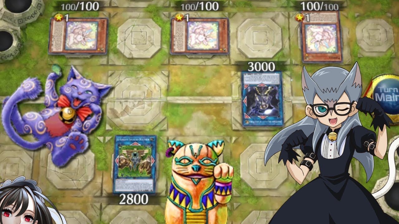 When you Incur the WRATH of the CRAZY CAT LADY [YUGIOH Master Duel]