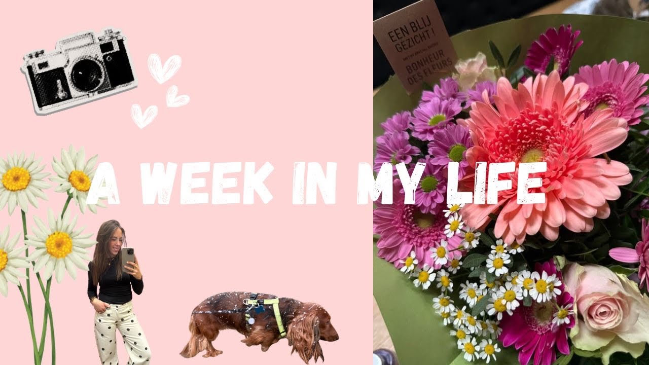WEEKVLOG 3 | Een week in het huis van vrienden