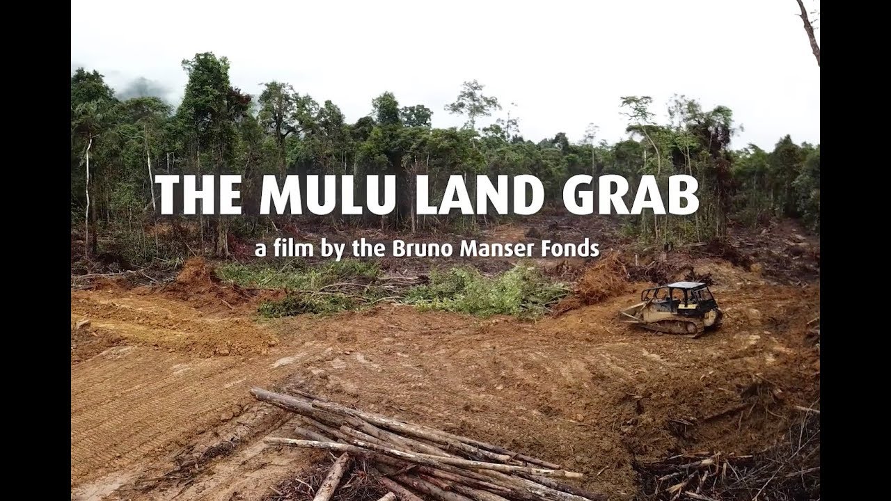 The Mulu Land Grab