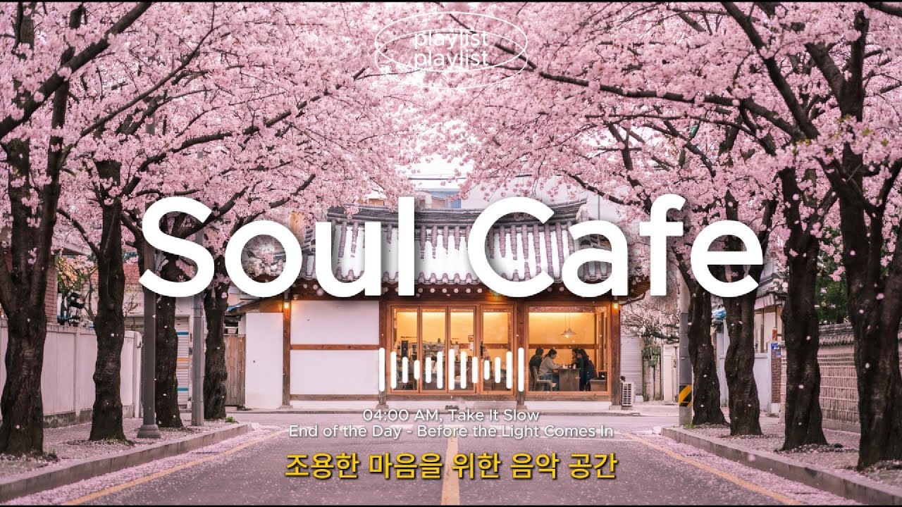 🌸 봄의 벚꽃, 마음의 휴식 | Spring Blossoms, Quiet Moments | 잔잔한 팝 발라드 Best 🎁 | 그냥 틀어 놓으세요