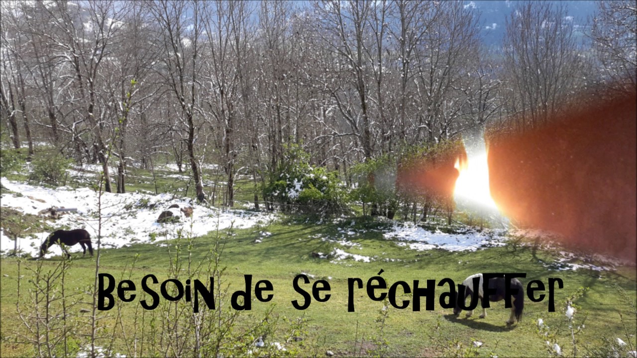 YOGA DANS LES PYRENEES VALLEE DU LOURON