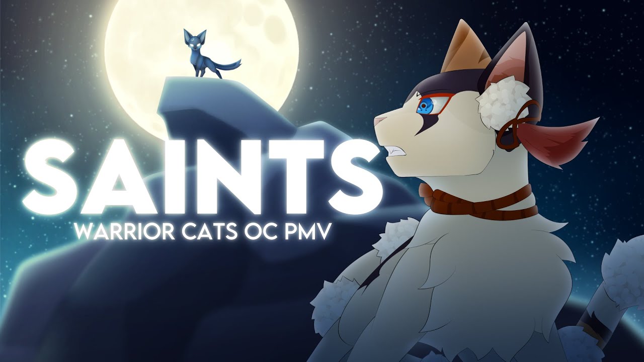 ⚝𓆪 SAINTS | Warriors OC PMV