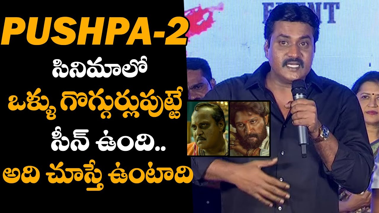 Actor Suneel About Pushpa 2 Movie Fights | Hebah Patel | Telugu cinema buzz