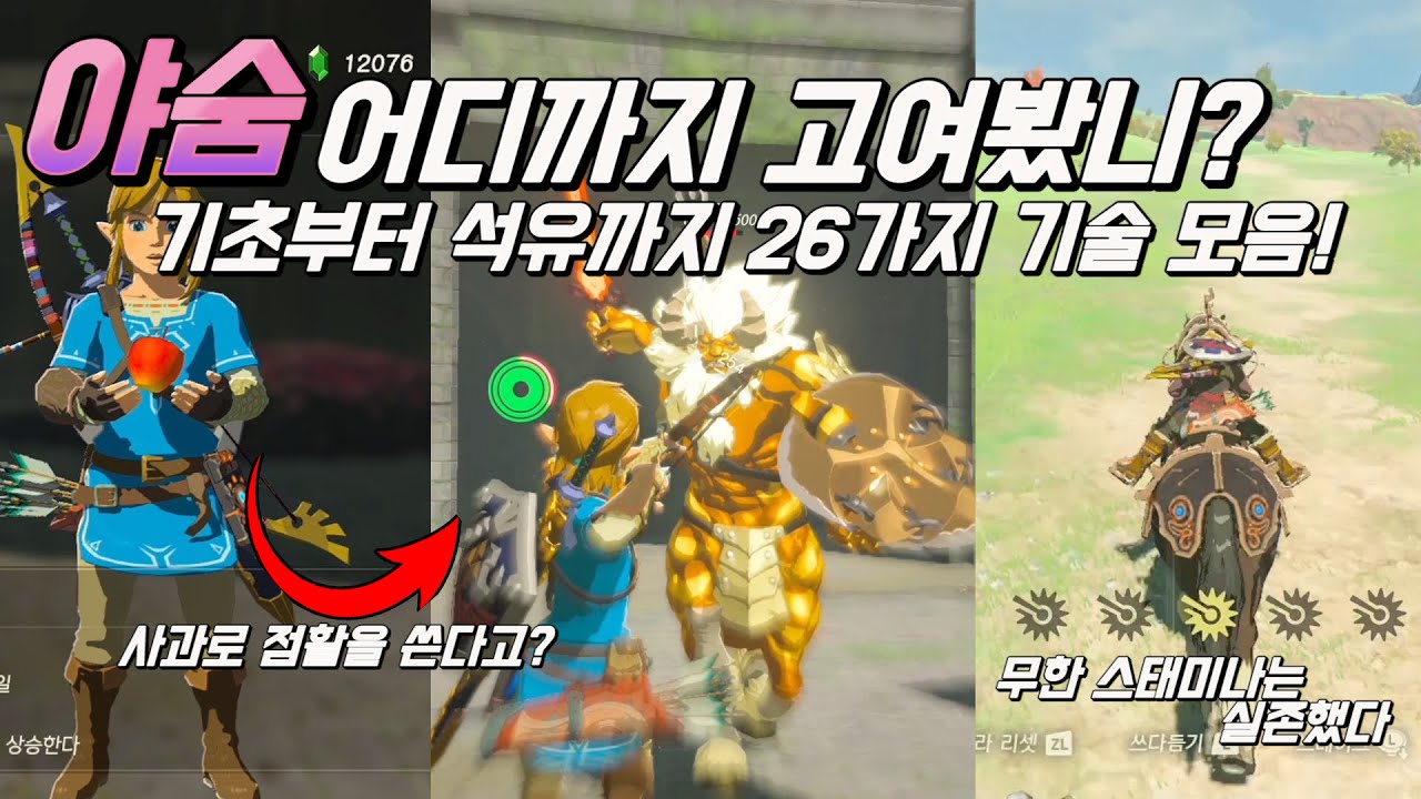 야숨 고인물 기술 모음 26가지 (botw advanced skills)