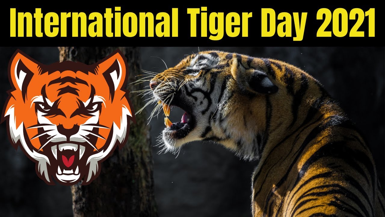 International Tiger Day 2021 - International Tiger Day Theme 2021 || Global Tiger Day 2021