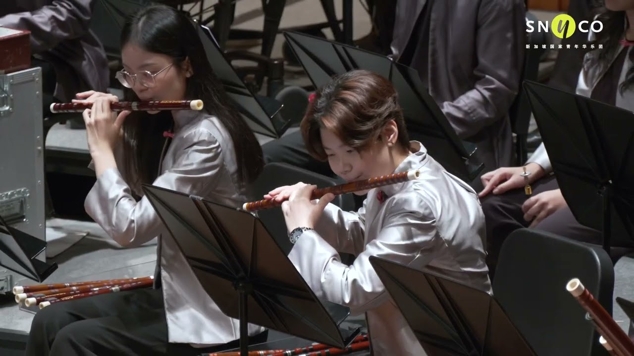 #SNYCOSoundbites #SNYCO音乐摘录 - The Encounter and The Forgotten Valley 《在遇见和忘记的山谷中》