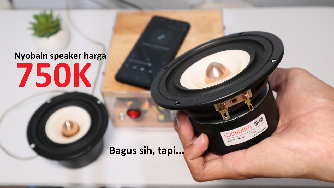 Review speaker Fullrange Soundhits SQ403R