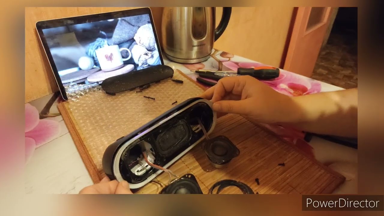 Замена аккумулятора на Sony- SRS XB20