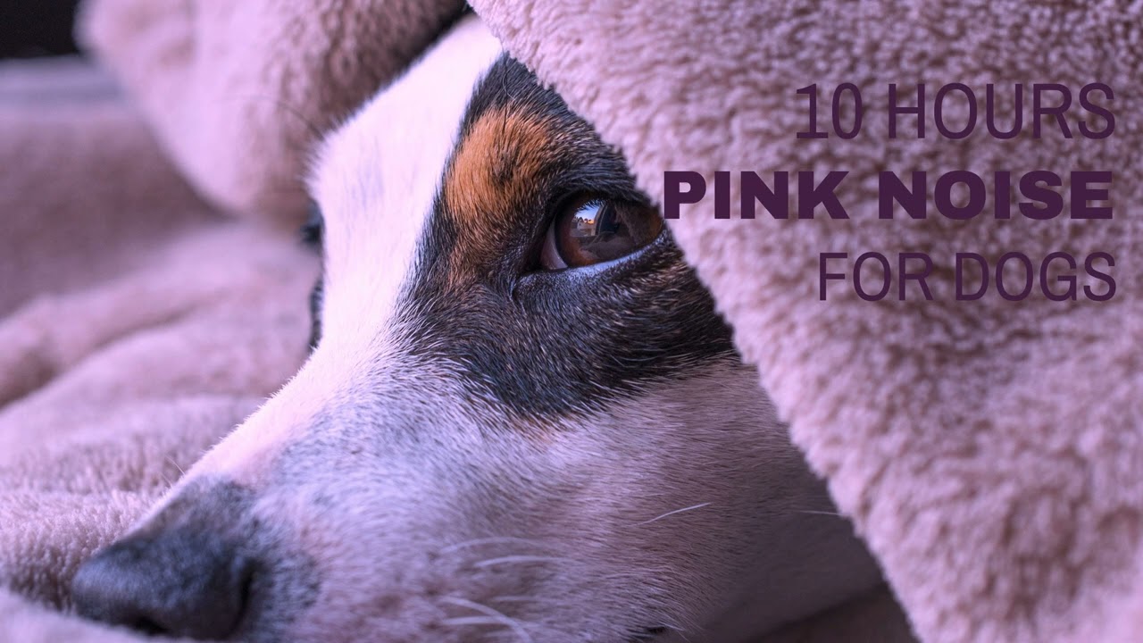 10 Hours Pink Noise for Dogs | Calming & Relaxing | Relieve Anxiety during Storms and Fireworks