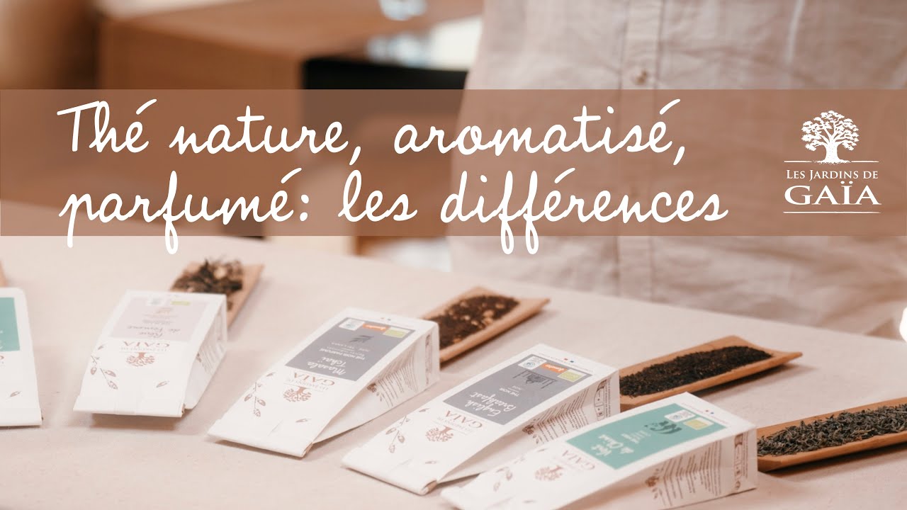 Thé nature, thé aromatisé, thé parfumé : quelles sont les différences ? 🍃