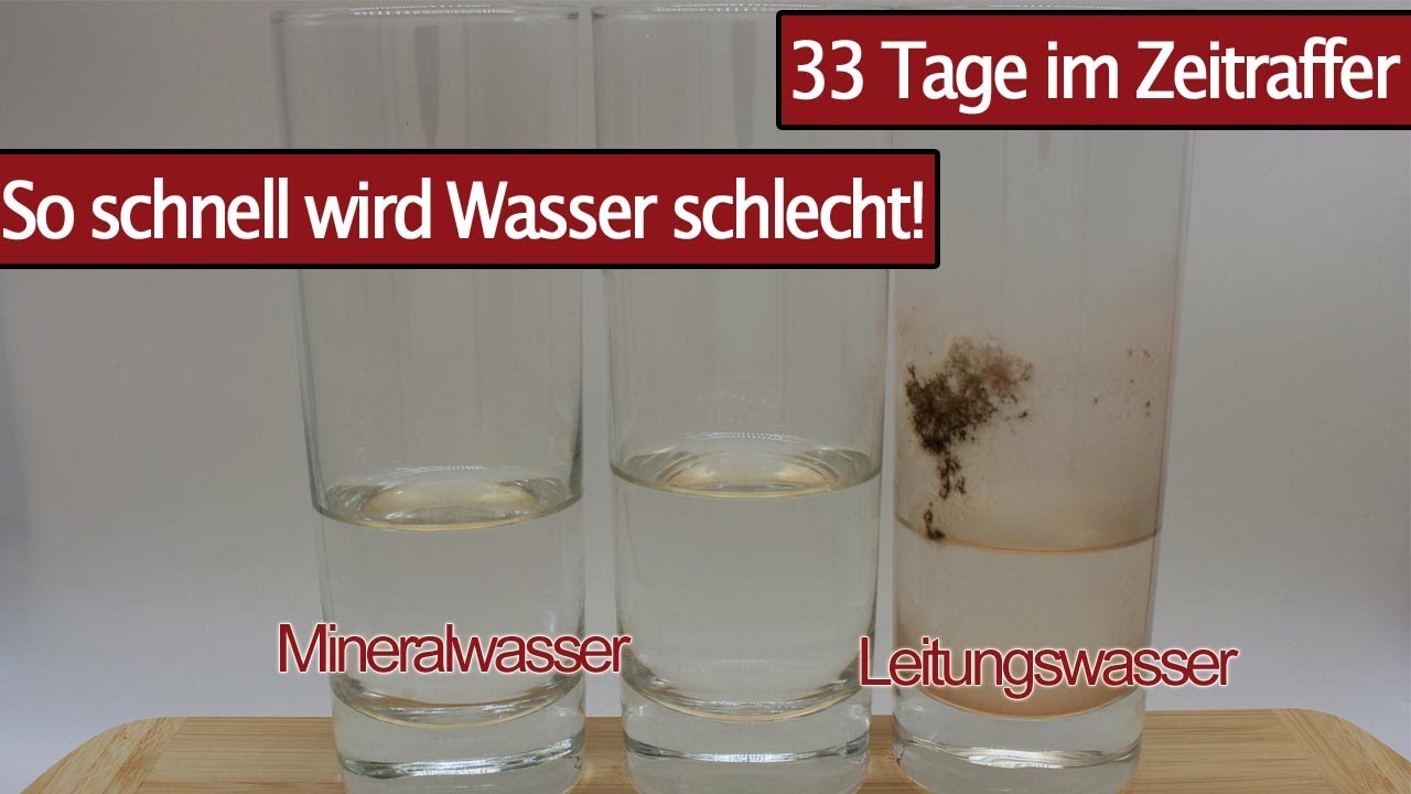 Leitungswasser und Mineralwasser &uuml;ber 33 Tage im Zeitraffer - Time Lapse zur Haltbarkeit von Wasser