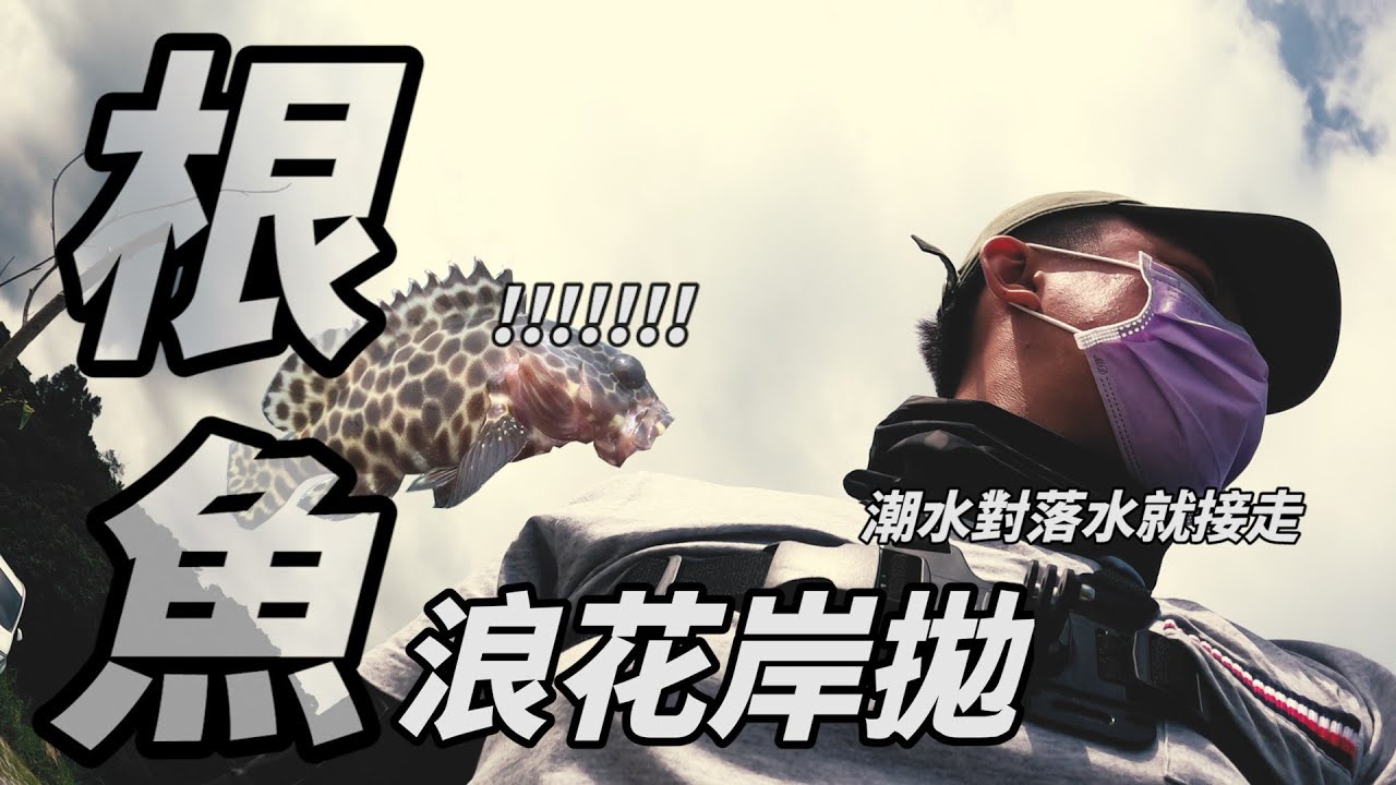 齁勝爆咬一波!夏天一定要來趟根魚  十班還是九班 到底哪一班 TAIWAN FISHING #根魚 #玳瑁 #石斑 #4K #SPOON #SCORDY