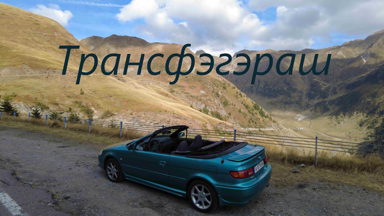 Трансфэгэраш в 2024 году!