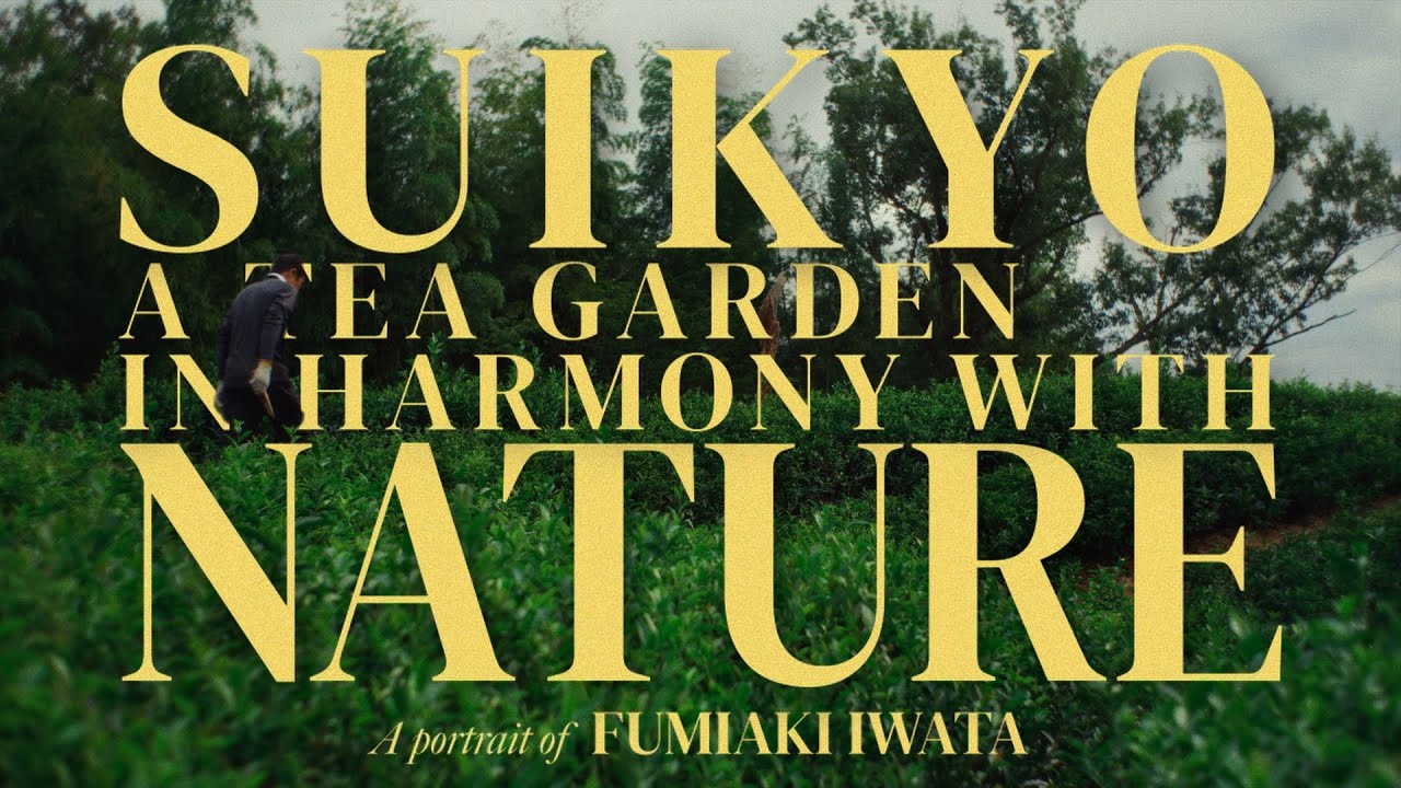 SUIKYO A TEA GARDEN IN HARMONY WITH NATURE | A Portrait of Organic Tea Farmer Fumiaki Iwata in Japan