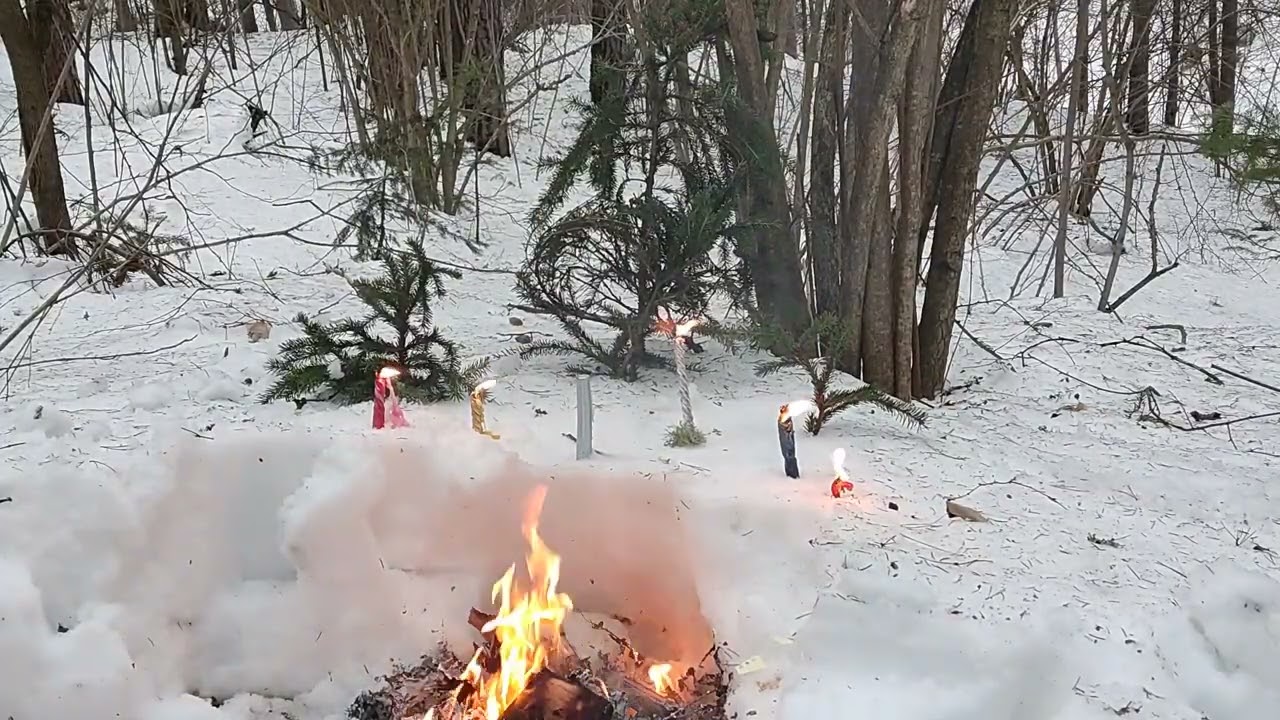 Мощная программно энергетическое уничтожение вольтов,сущей,лярв,замков ,капсул крадников ,договоров 