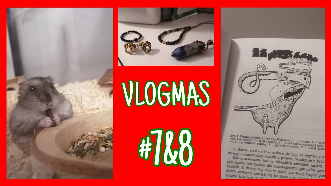 PORANNA RUTYNA & NOWY KALENDARZ | VLOG~MAS 2023 🎄
