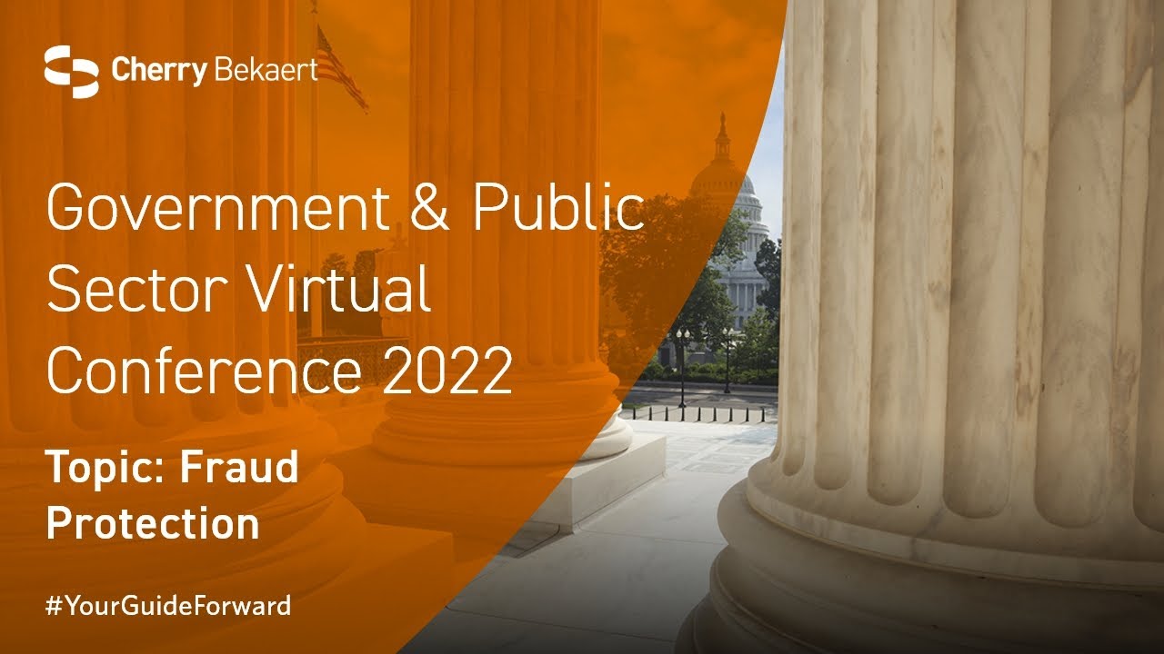 Fraud Risk Management for Government and Public Sector