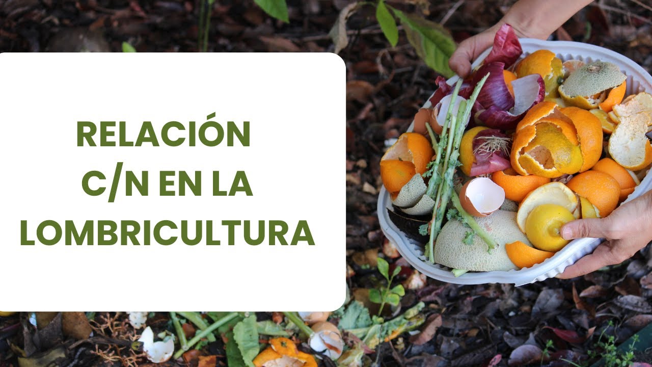 Conoce la relación Carbono/Nitrógeno clave para la lombricultura