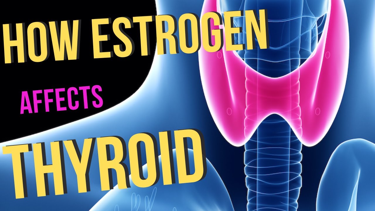 Estrogen Dominance and Thyroid Disease- 5 Strategies To Help You Reverse Estrogen Dominance