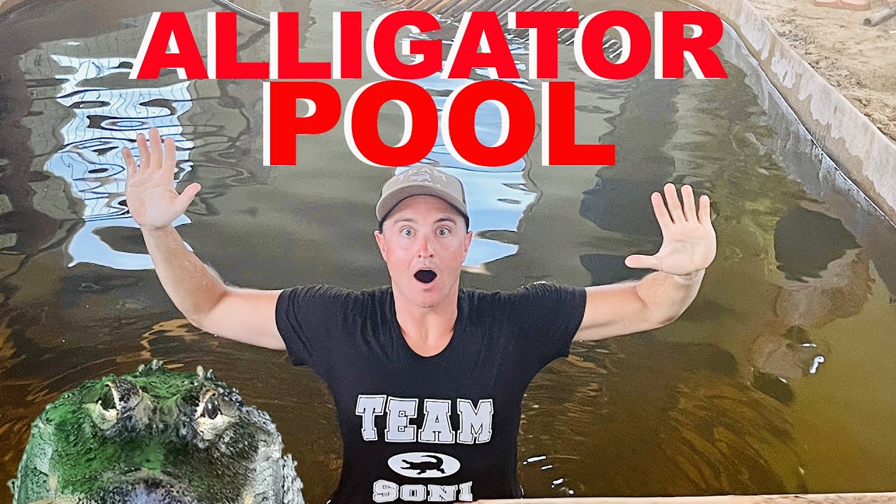 Jumping Into The Alligator Pool!!!