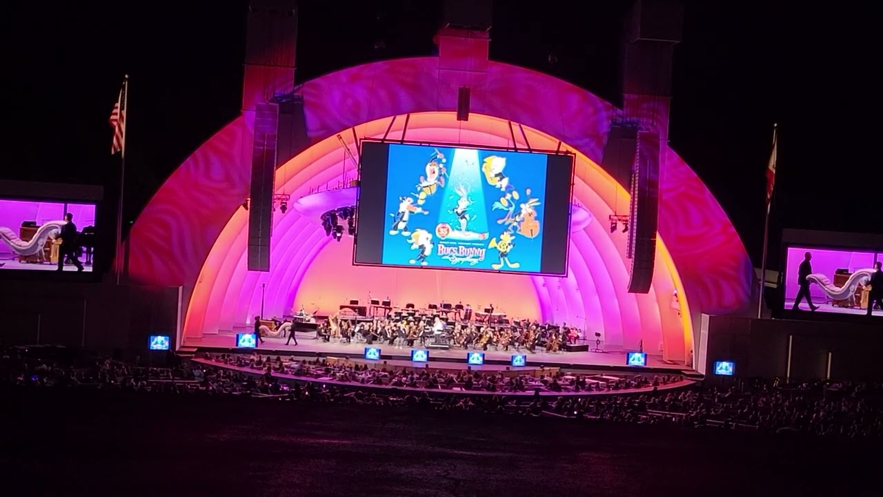 Looney Tunes at the Bowl